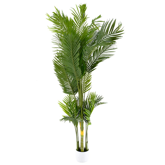 Palm Tree 1.8m
